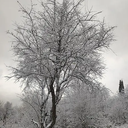 Kossoulto In Lejlighed Arachova